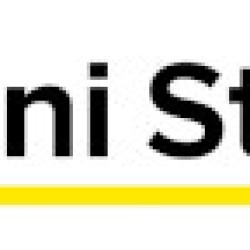 Rimini Street Honored with Two Prestigious Stevie® 2024 Awards in the Category of Customer Service