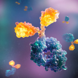 OmniAb Announces Publication of Scientific Paper on Heavy Chain-Only Single-Domain Antibody Chicken Platform in the Journal of Immunology