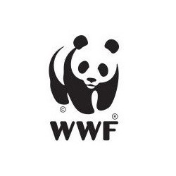 WWF, 플라스틱 오염 규제에 대한 전 세계 32개국 약 2만5000명 여론조사 분석한 보고서 발간