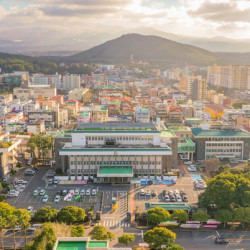 제주도 17일 0시부터 경북 돼지고기·생산물 반입 금지