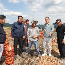 강호동 농협회장, 경남 합천 양파농가 수확·수매 상황 점검