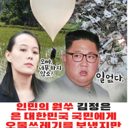 대북전단 재개에도…정부 '자제요청 불가' 입장 여전