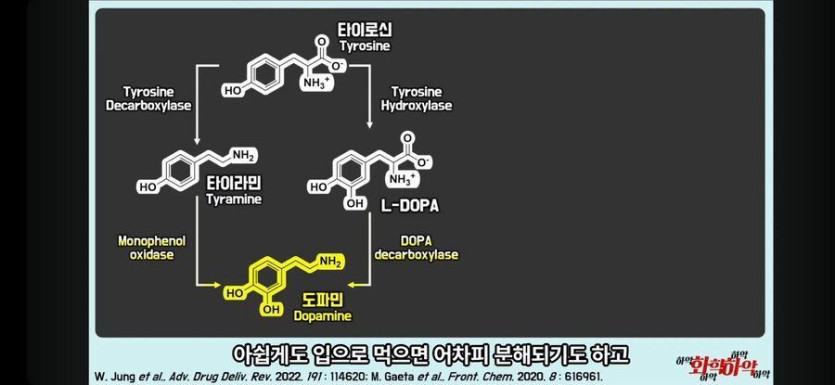 bt9ebae27ef8cd5bdaaf6280f8bf579f38.jpg