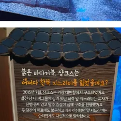 부산에 존재한다는 샹크스