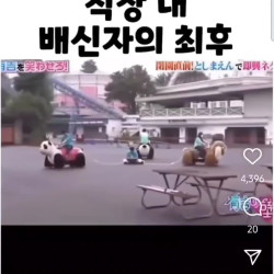 직장 내 배신자의 최후 ㅎㄷㄷ