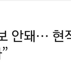 개인적인 여자들 서울선호 체감