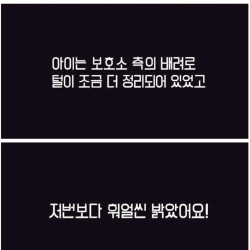 포인핸드 유기견 입양 전후 변화