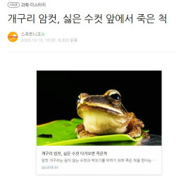 개구리 암컷, 싫은 수컷 앞에서 죽은 척