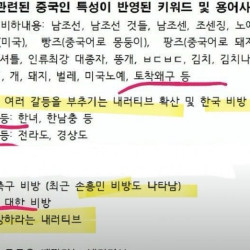 중국 댓글부대가 쓰는 워딩들