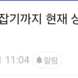 황금고블린 조니 소말리 포획 과정