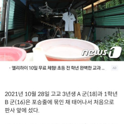 90대 할아버지 앞에서 할머니 살해한 10대 손자 형제