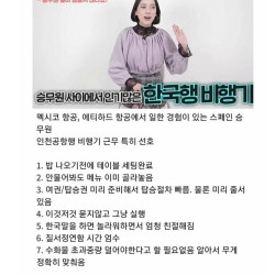 스페인 승무원이 본 한국탑승객