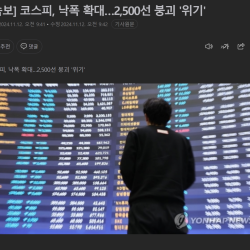 코스피, 낙폭 확대…2,500선 붕괴 '위기'