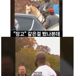 코스프레 파티에 참가한 흑인 2명