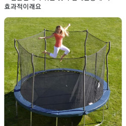 달리기 33분 하는것 보다 효율적이라는 운동