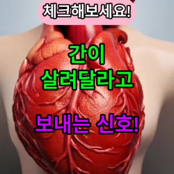 간이 망가지기 시작하는 신호 5가지