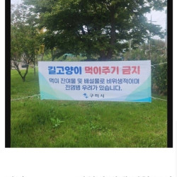 캣맘 발작중인 구미시 현수막