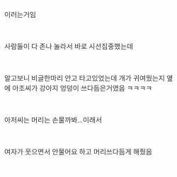 시내버스에서 갑자기 엉덩이를 왜 만지세요