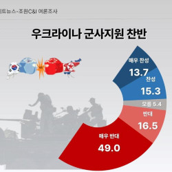 우크라이나에 살상 무기 지원 반대, 65.5%