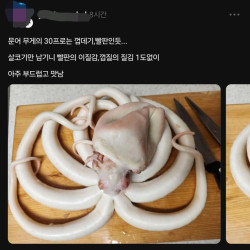 전설의 해산물 세척 3대장 ㄷㄷㄷ