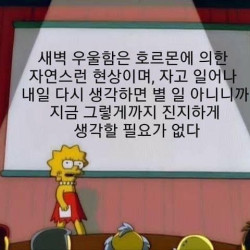 새벽에 우울할 때마다 봐야하는 짤