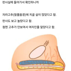 ㅇㅎ)아빠가 들려주는 성폭행 무죄썰