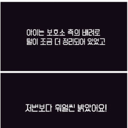 유기견 입양 전후 변화