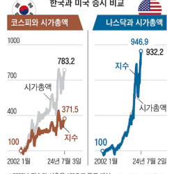 코리아 디스카운트를 보여주는 한 짤