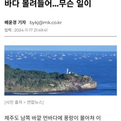 제주앞바다에 몰려든 중국어선 500척 근황