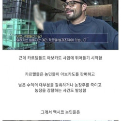 카르텔에 맞서며 이상에 불타던 멕시코 농민 자경단의 최후