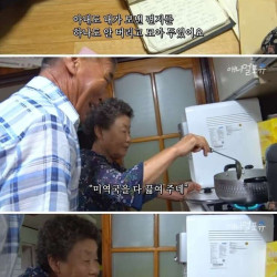 치매에 걸린 아내와 고양이들의 우정