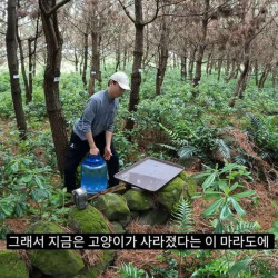 고양이가 없어진 마라도에 새로 나타난 외래종