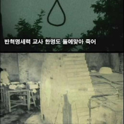 상상보다 더 공포스럽고 미개했던 중국의 문화혁명