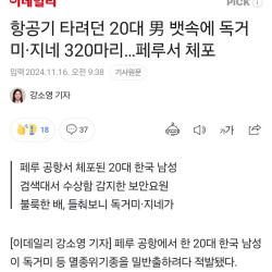 약혐) 항공기 타려던 20대 한국 男 뱃속에 독거미·지네 320마리…페루서 체포