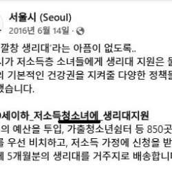 서울에서 한때 밀어줬던 어처구니없는 페미 용어