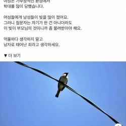 싱글벙글 현실적으로 2030남성편이 없는이유