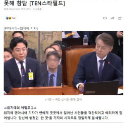 가족까지 건드리는 친하이브 기자 기사수준