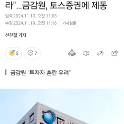 금감원 : 뒤진다 빨리 이름 바꿔라