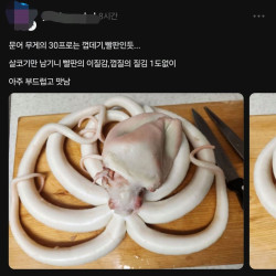 전설의 해산물 손질 3대장