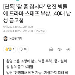 '잠 좀 잡시다' 던진 벽돌에 드라마 스태프 부상…40대 남성 금고형