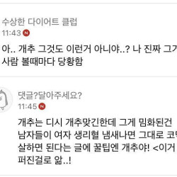 개추 단어의 유래를 알려주는 여시녀