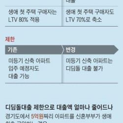 디딤돌 대출 규제 ‘21일 시행’ 잠정 중단…