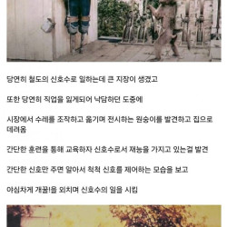 원숭이로 자동사냥 돌려서 쌀먹하는 철도 공무원