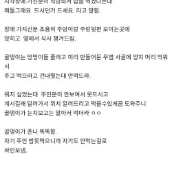 식당에 시각장애인이 안내견 데리고 들어옴ㅅㅂ..