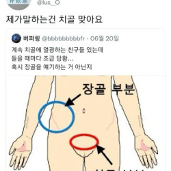 계속 치골에 열광하는 친구들 있는데