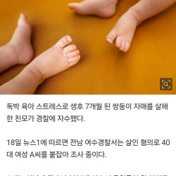 7개월 쌍둥이 자식 죽인 엄마에 공감하는 아줌마들