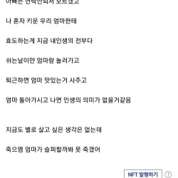 엄마 돌아가시면 돈 다쓰고 자살하겠다는 디시인