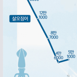 2050년 되면 인류는 해산물 못먹는다.