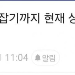 황금고블린 조니 소말리 포획 과정 ㄷㄷㄷ