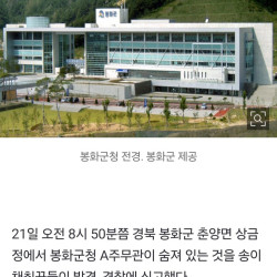 봉화군청 20대 공무원 숨져